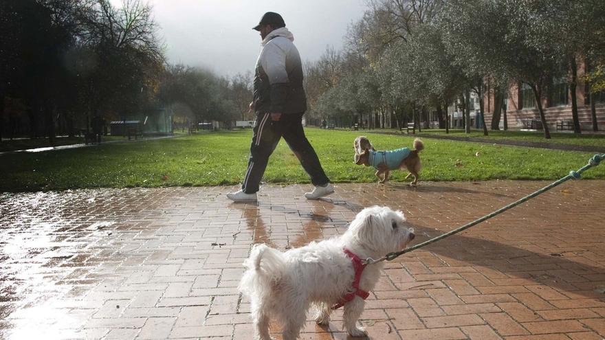 Elkarrekin reclama la creación de un cementerio para animales de compañía en Vitoria