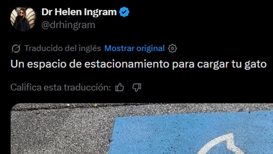 ¿Quieres "cargar" a tu gato? Pues aparca aquí