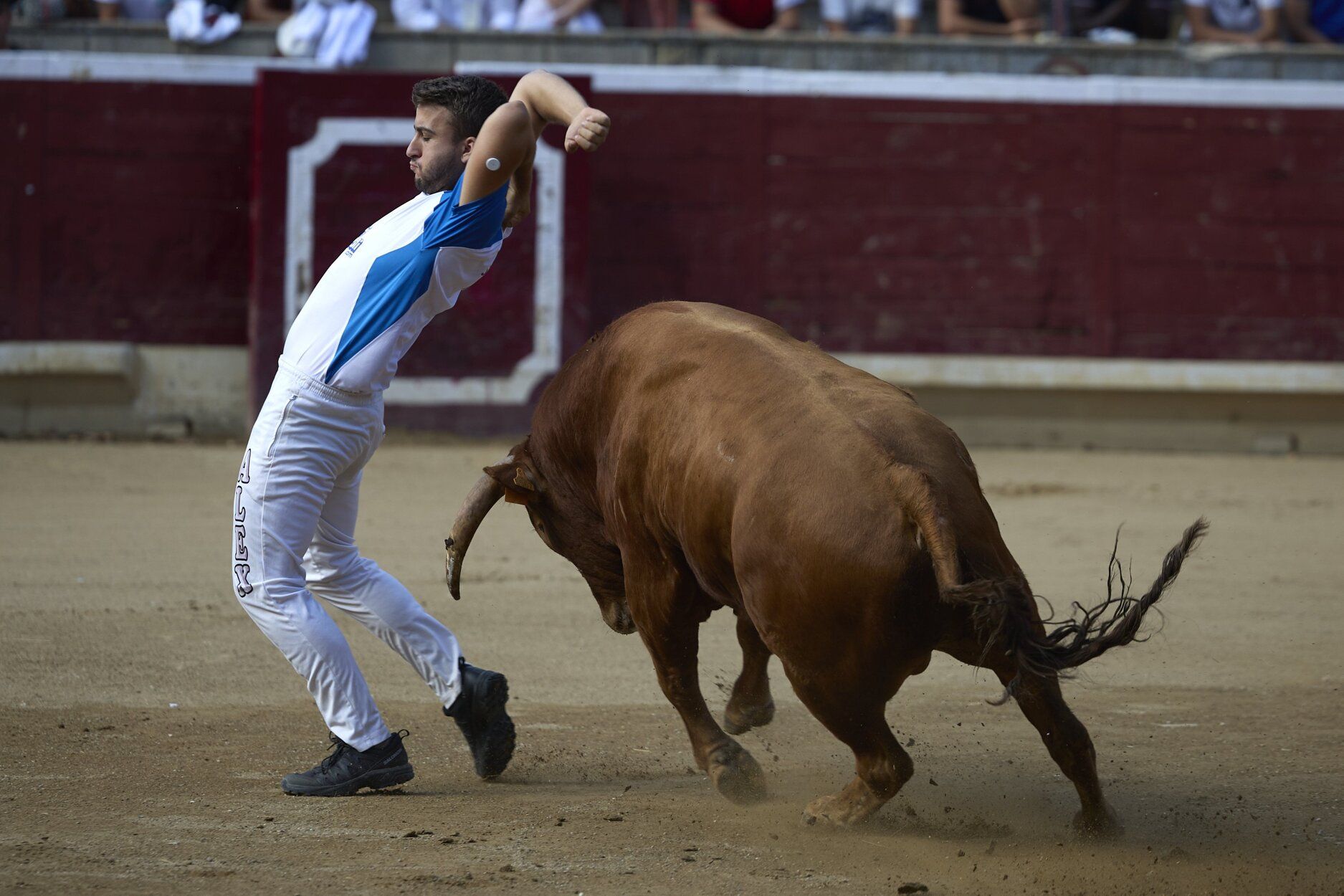 Fotos del concurso de recortadores de fiestas de Tafalla