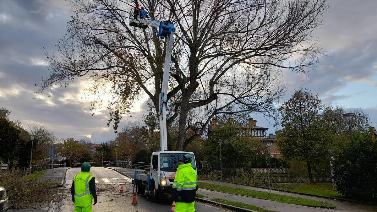 Getxoko Udaleko langileak.