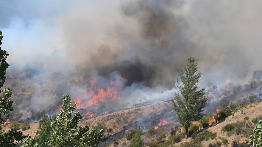 Estos son los cuatro bulos más generalizados sobre la actual ola de incendios en España