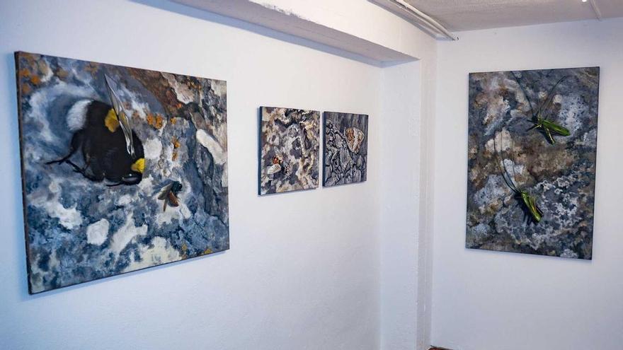 Insectos que son arte