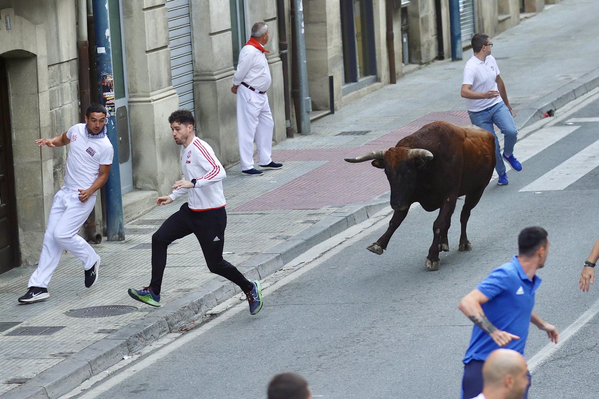 Fotos del quinto encierro de las fiestas de Tafalla 2025
