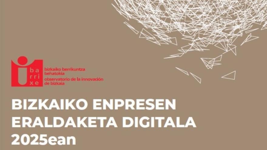 Bizkaiko enpresa-sareak bere oinarri digitala indartu du