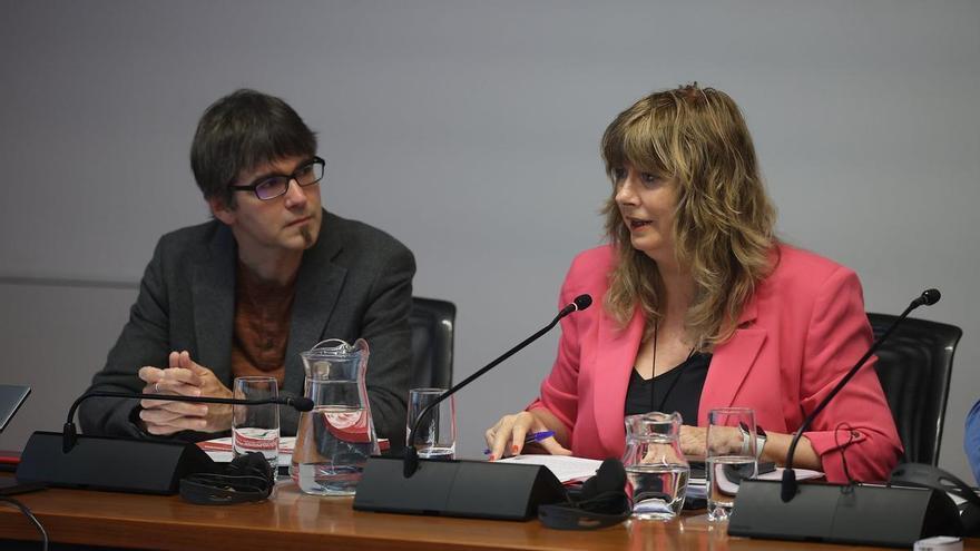 Ollo niega que Euskarabidea haya financiado los campamentos de Bernedo, Abáigar y Goñi