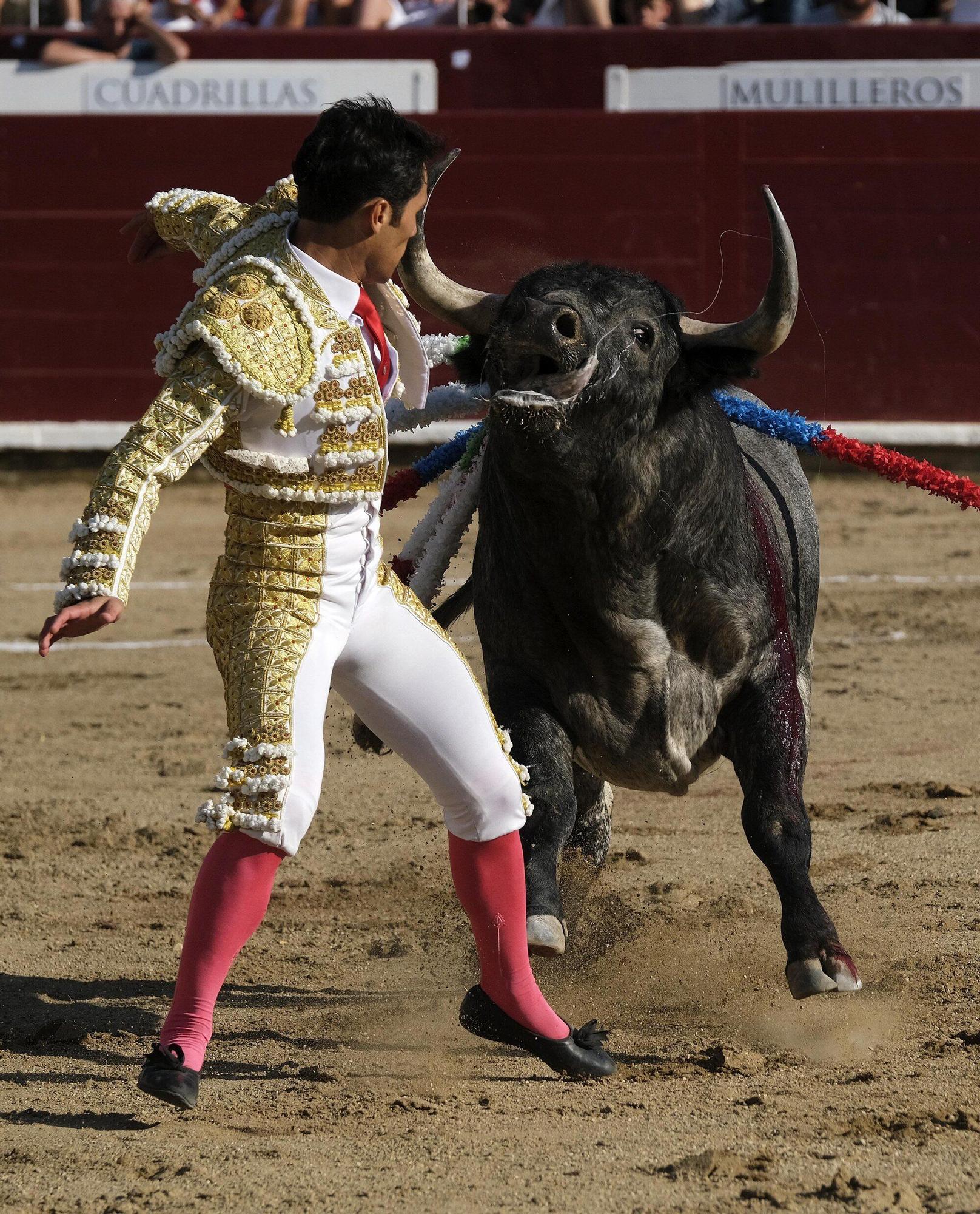Fotos de la corrida con toros de Partido de Resina en fiestas de Estella-Lizarra
