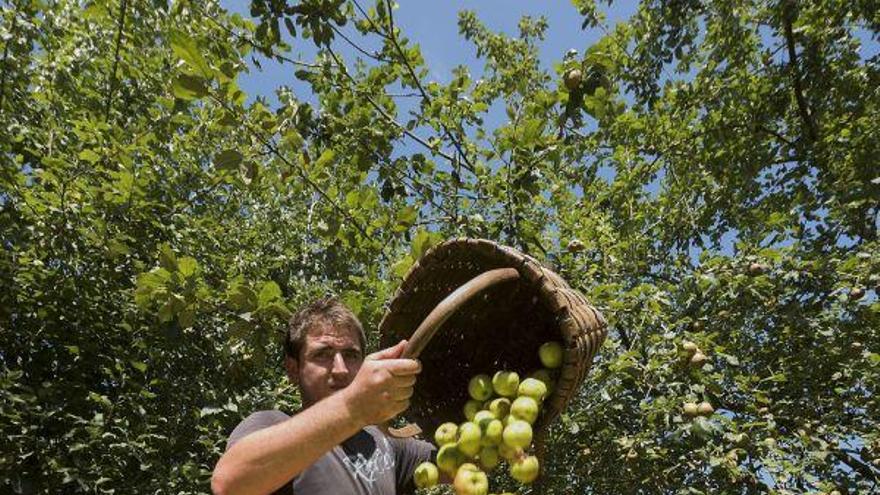 La manzana de la discordia