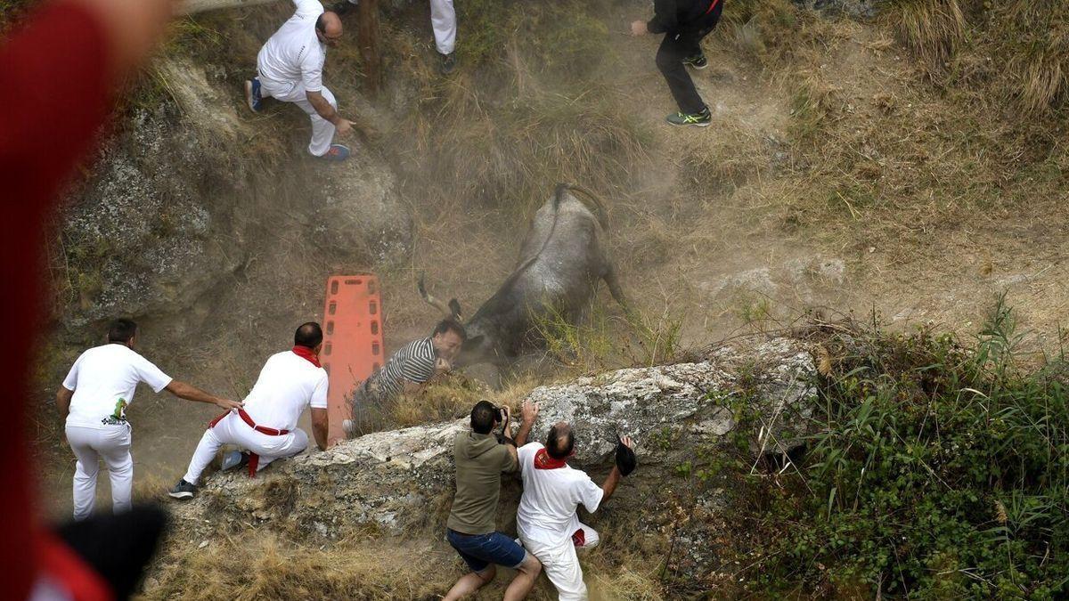 Lacruz, con camiseta de rayas, es cogida por la vaca