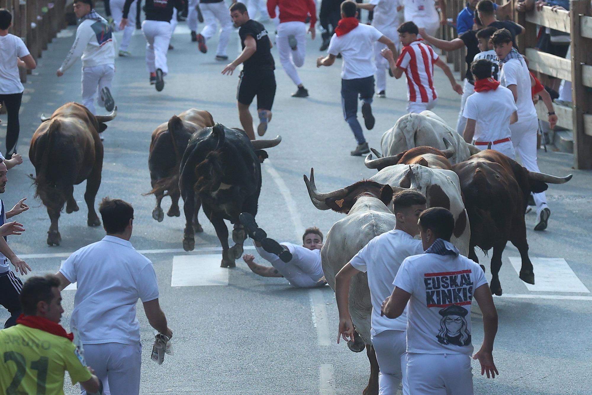 Fotos del quinto encierro de las fiestas de Tafalla 2025
