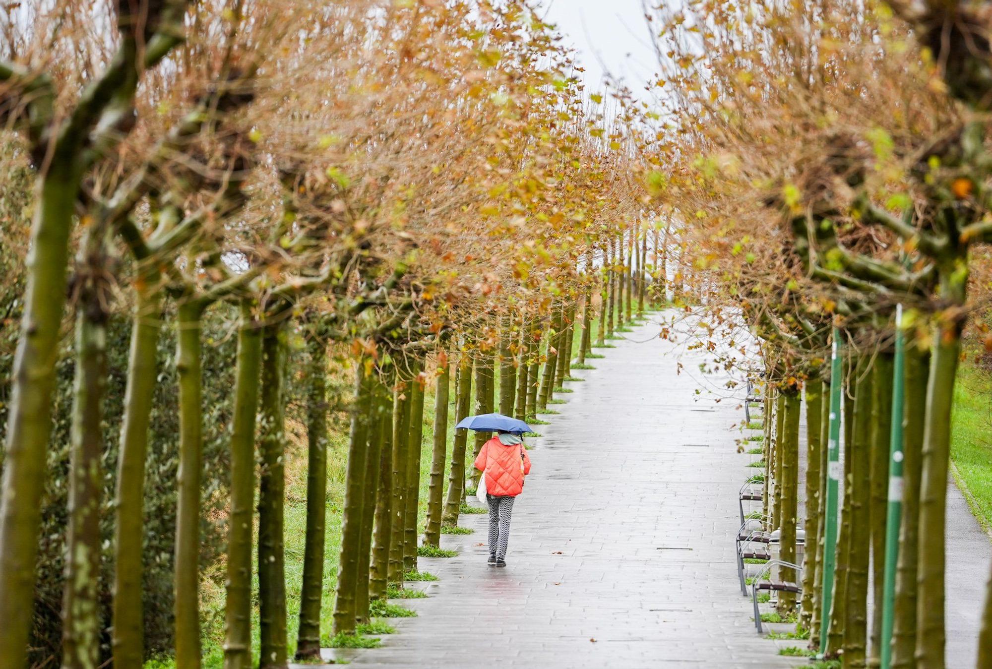 La lluvia seguirá durante toda la semana en Bizkaia