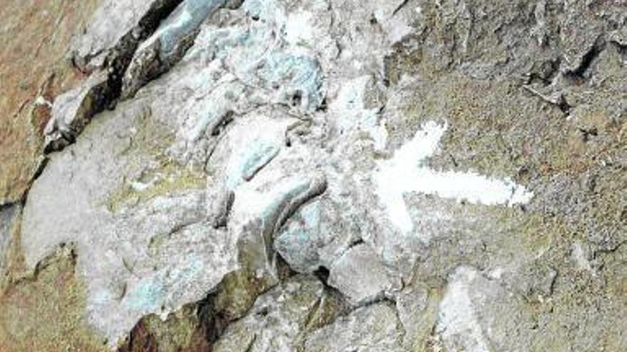 Fósiles en la Peña de Lazkua