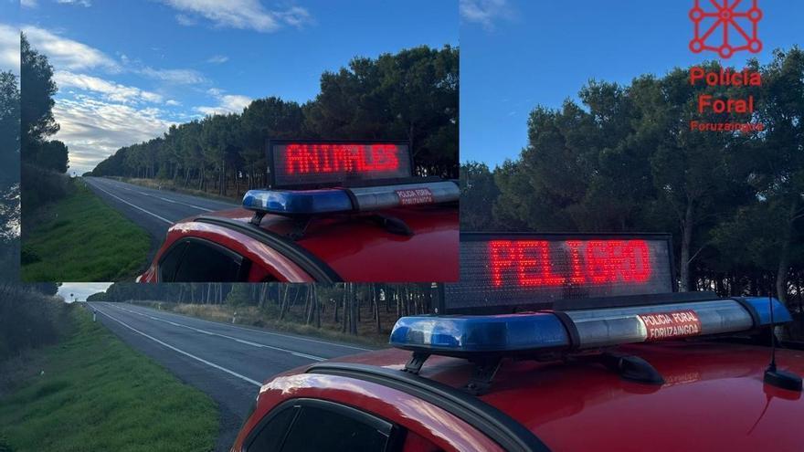 Precaución en los kilómetros 65 al 67 de la N-121 por una batida de jabalíes