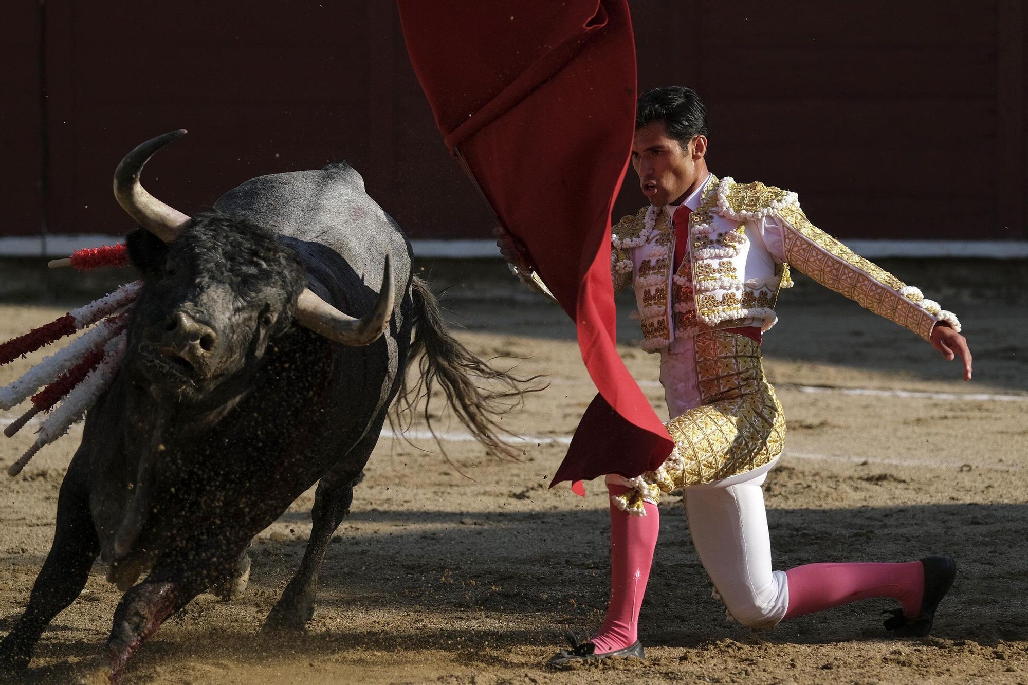 Fotos de la corrida con toros de Partido de Resina en fiestas de Estella-Lizarra