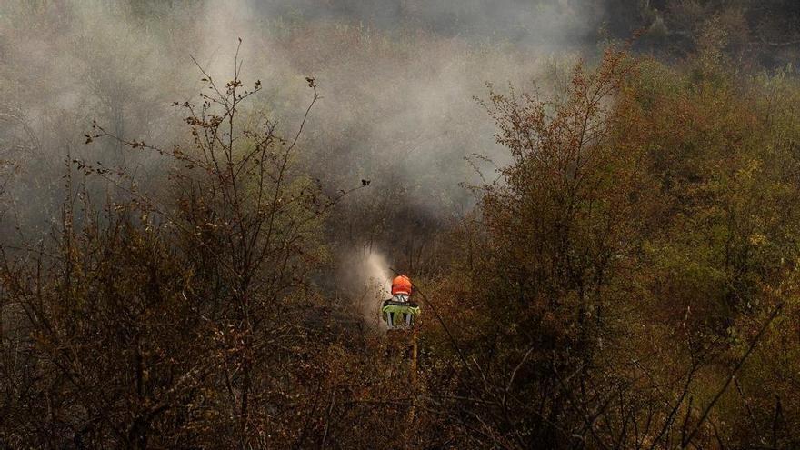 Se elevan a 45 los detenidos y a 133 los investigados por incendios forestales