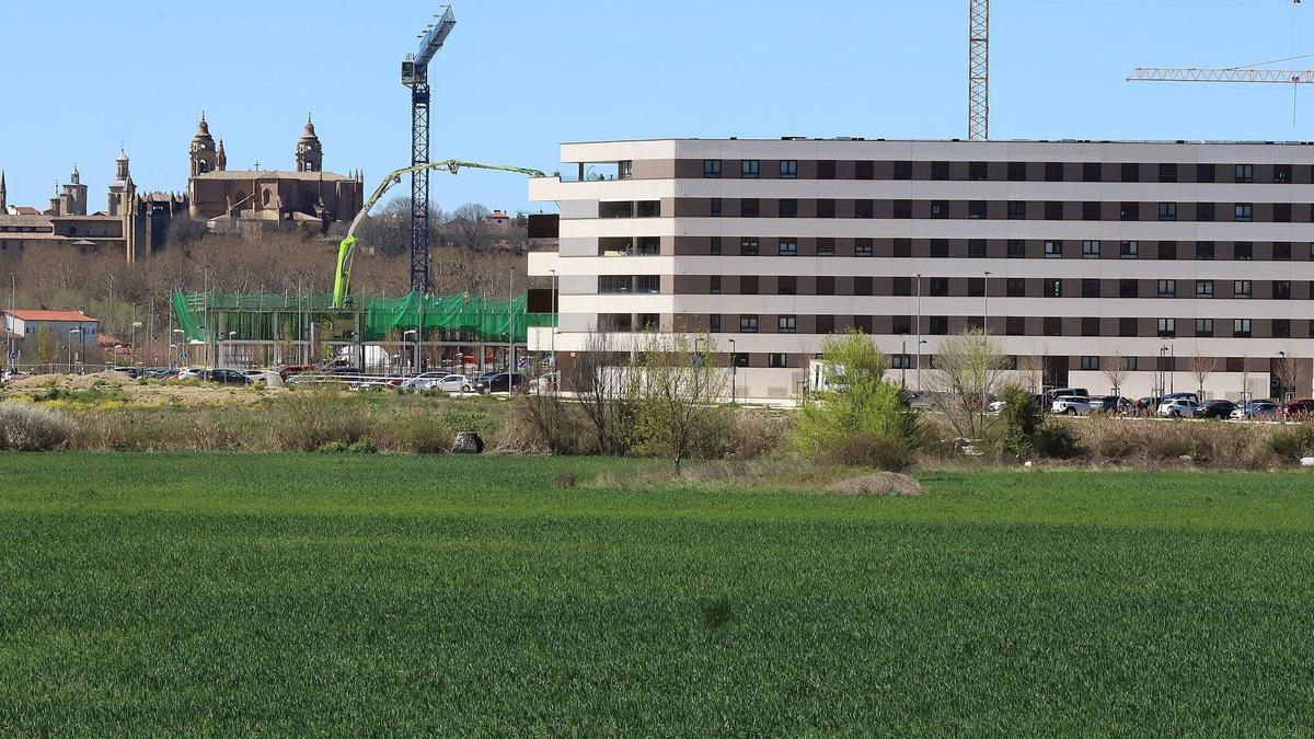 Edificios en Txantrea Sur y, a su izquierda, la zona donde se llevará a cabo la tercera fase del parque de la Magdalena.
