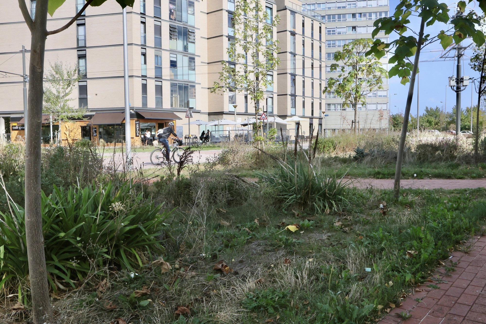 En imágenes: Vitoria-Gasteiz se prepara para adecentar el verde de la ciudad