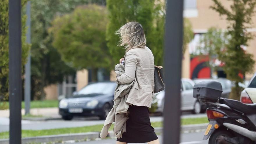 Álava no se libra del viento: estas han sido las estaciones donde se han registrado las rachas más fuertes