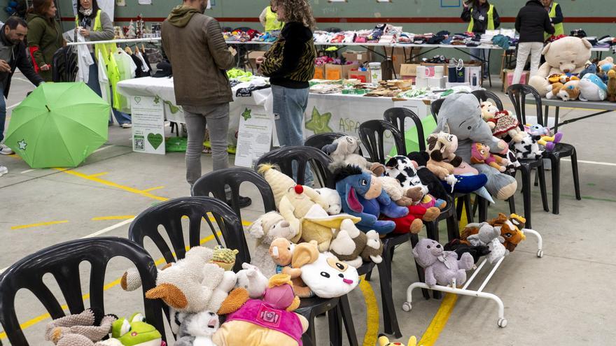 En imágenes: Fiesta solidaria de Aspanafoa