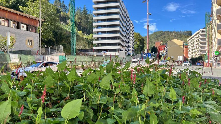 Ermua promueve el buen uso del euskera con un concurso de vídeos cortos