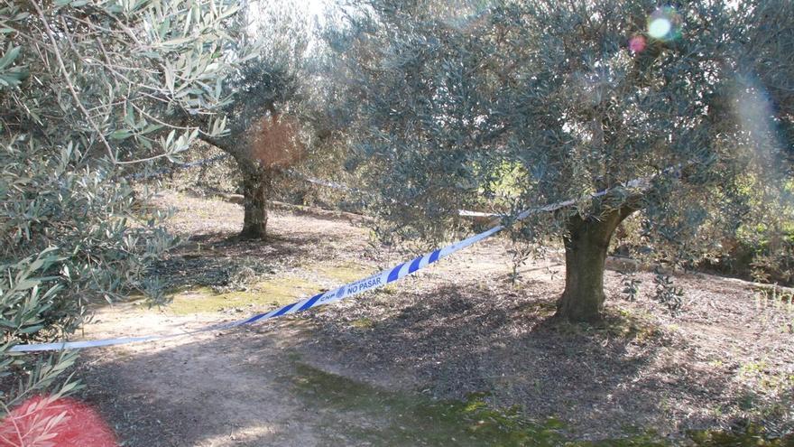 Investigan la vinculación de dos muertes violentas en Tudela y Ribaforada con un crimen en Lleida