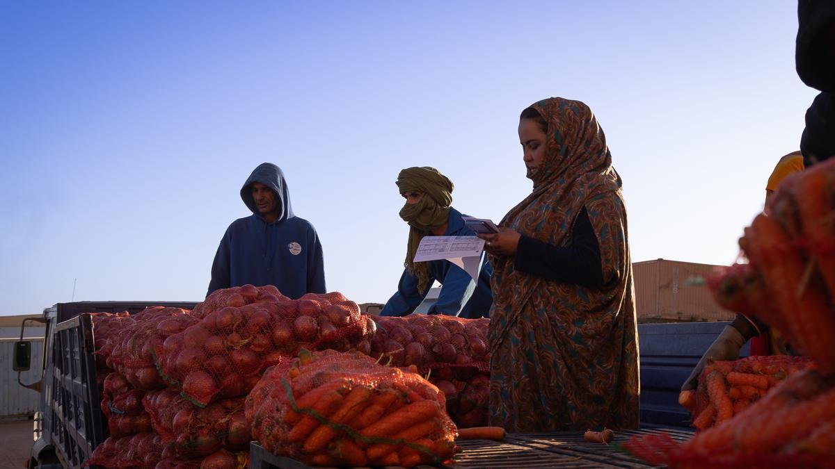 Reparto de alimentos en el desierto de Tinduf (Argelia), donde se hallan los campamentos de población refugiada saharaui.