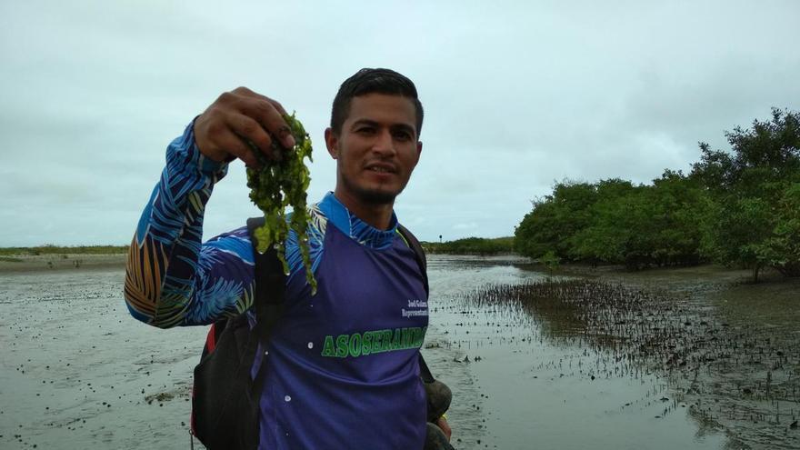 El sueño de una Isla del Amor verde