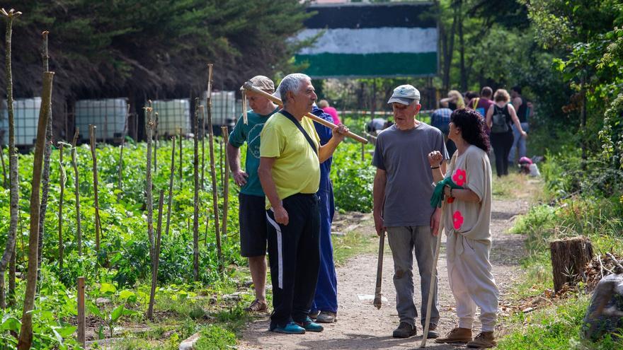 Campaña de solidaridad tras el último saqueo del huerto comunitario de un barrio de Pamplona