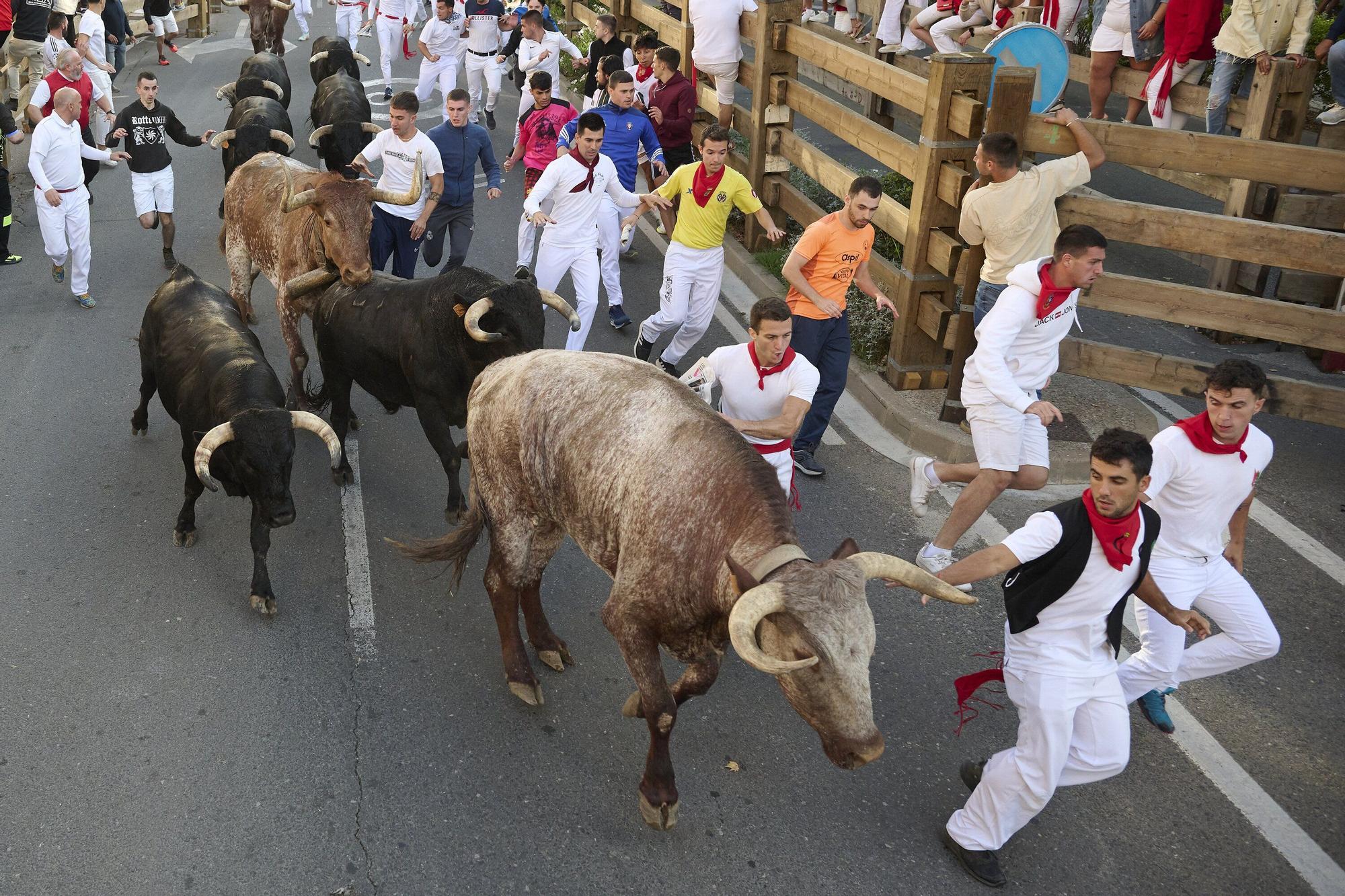 Fotos del tercer encierro de las fiestas de Tudela 2025