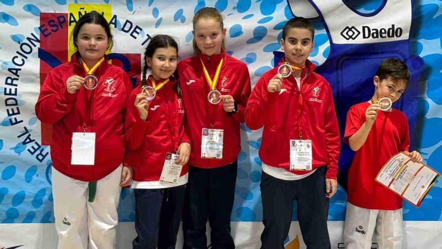 Navarra consigue seis medallas en Taekwondo