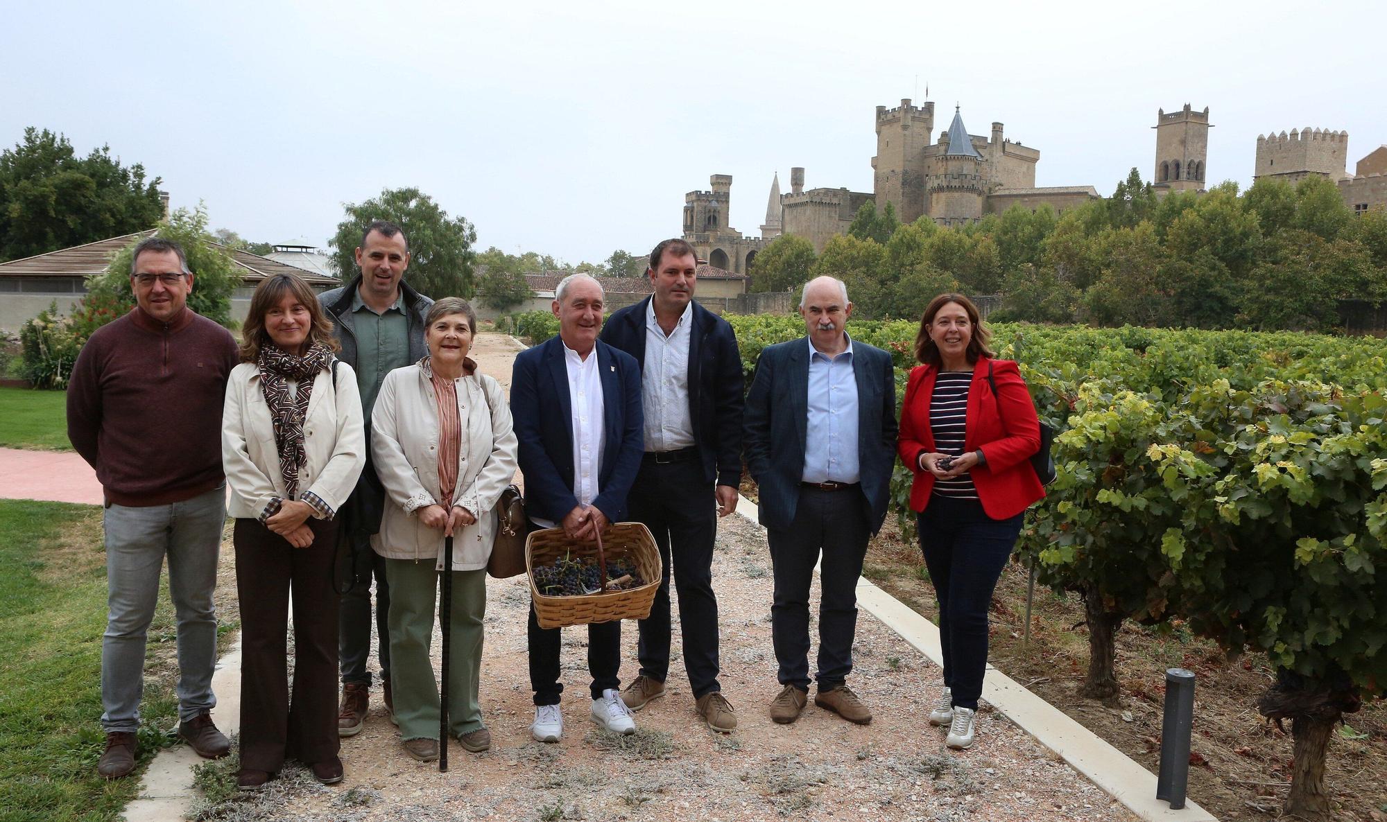 Vendimia en Navarra 2025 | Fotos del simbólico 'corte del último racimo' en Olite