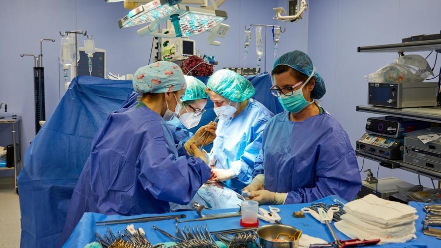 El consejero de Salud cifra en 20 días el aumento de la lista de espera por las huelgas en Osakidetza