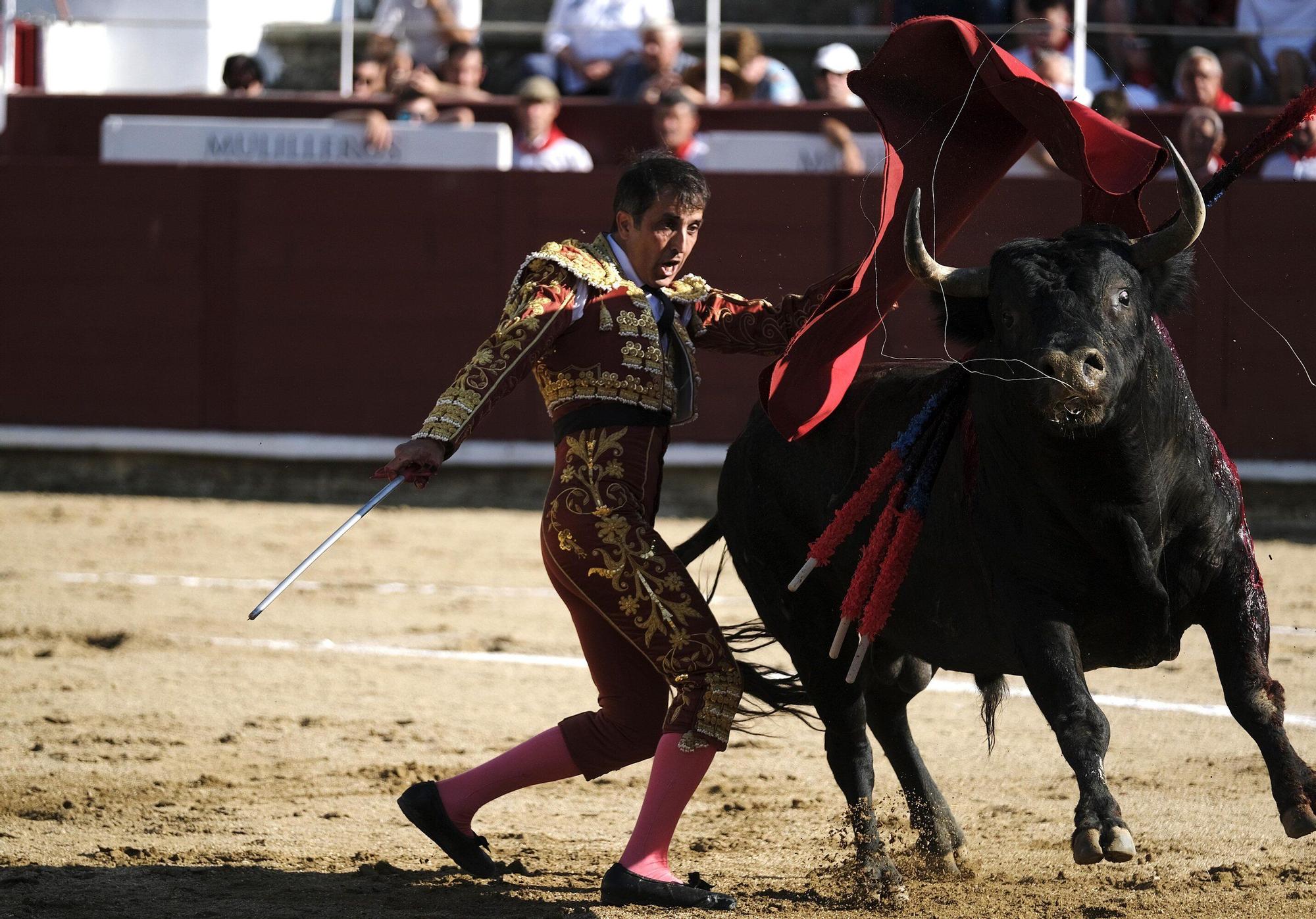 Fotos de la corrida con toros de Partido de Resina en fiestas de Estella-Lizarra