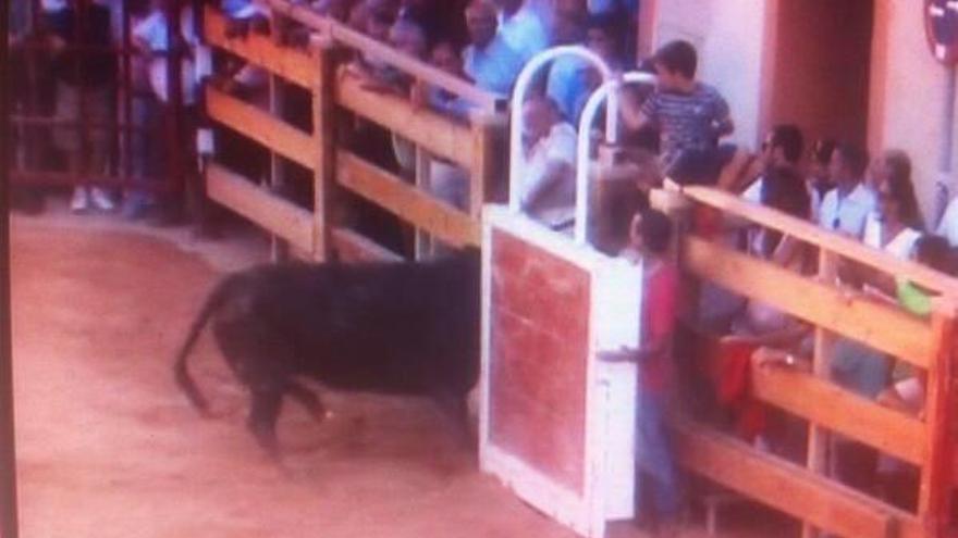 Momento de la cornada al vecino de Murchante.