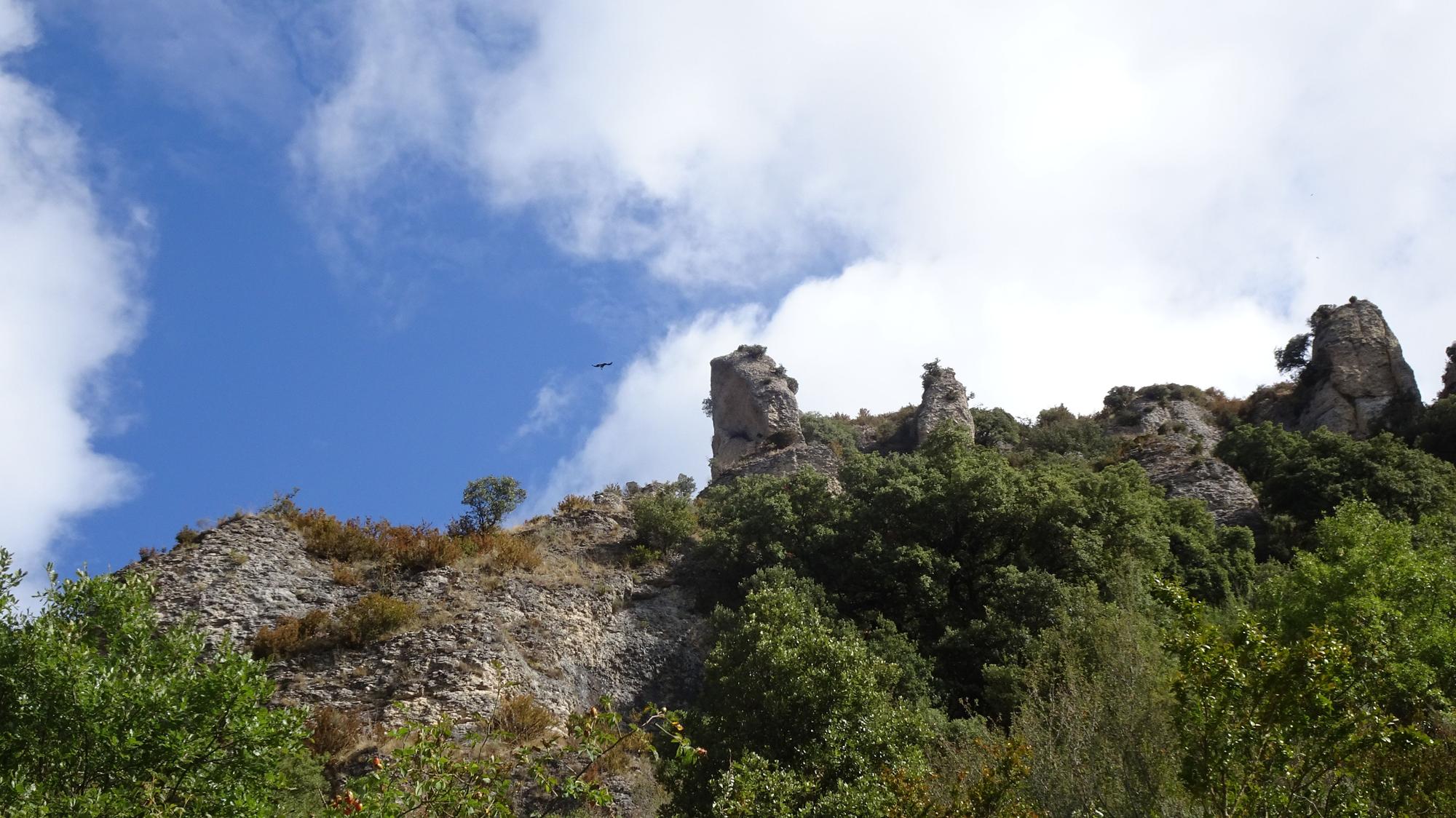 Cañón del Iranzu