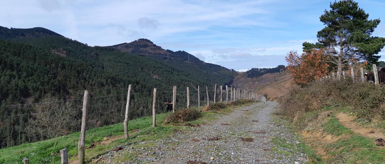 Una ruta circular "perfecta para desconectar" a 20 minutos de Bilbao