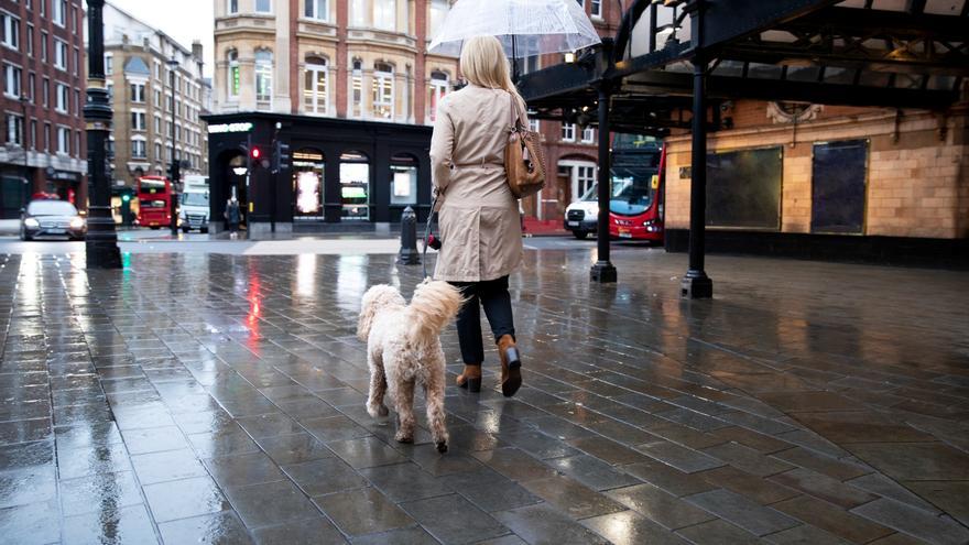 Adiós al frío: la solución de Leroy Merlin que te hará olvidar la temperatura