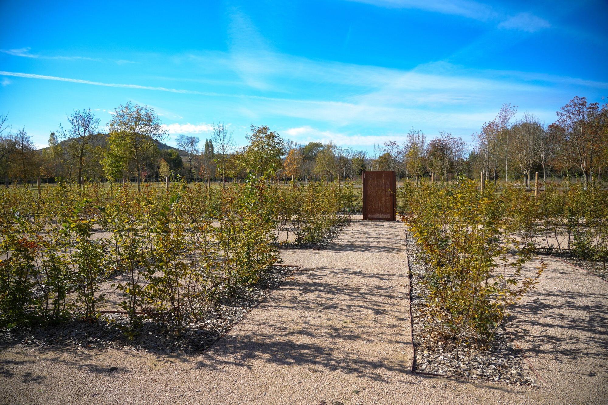 En imágenes: Inauguración del nuevo laberinto vegetal de Olarizu