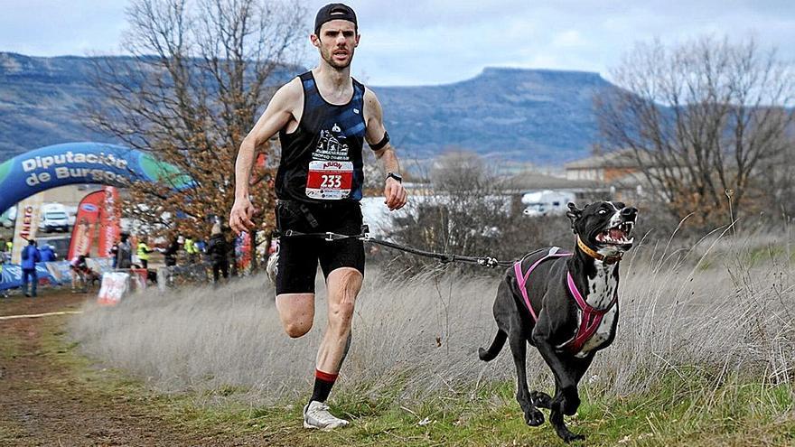 Oier Sánchez, corredor de canicross: “Sin mis perros no entendería mi día a día”