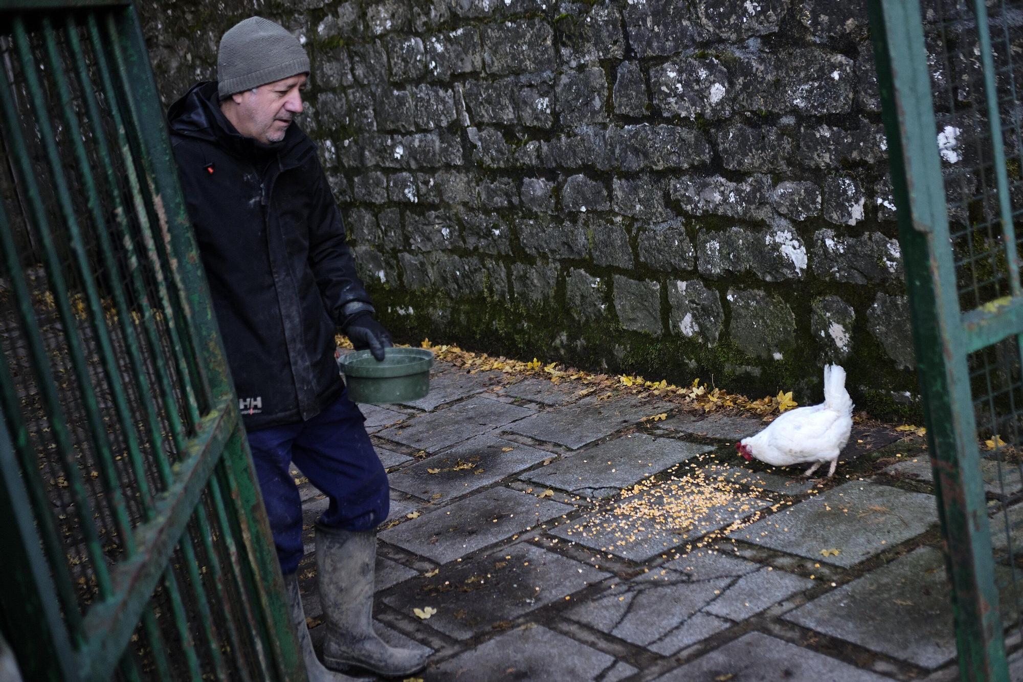 Las medidas contra la gripe aviar en la Taconera de Pamplona