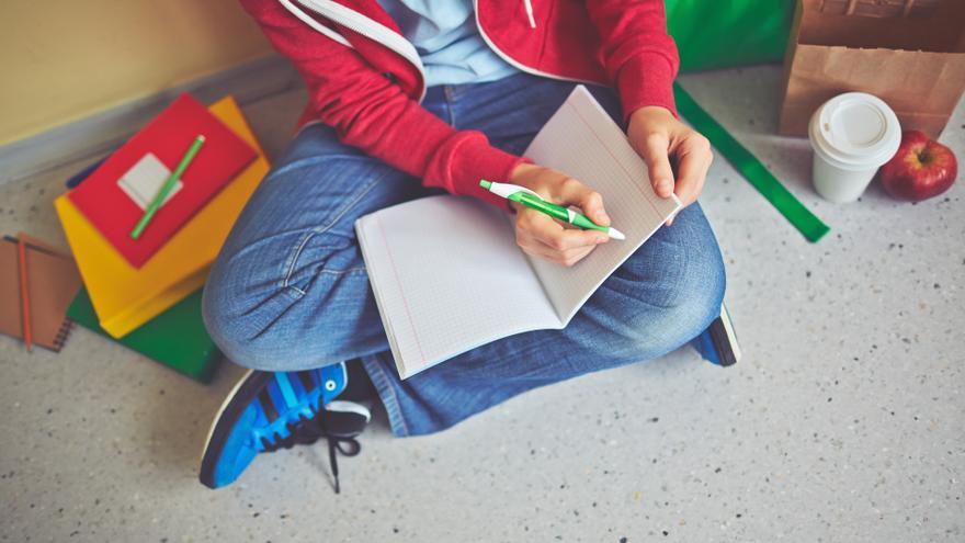 El Departamento de Educación reforzará el euskera en las aulas con un proyecto piloto en 20 centros escolares