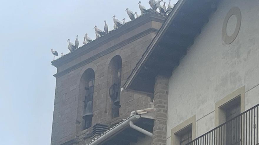 Lerga, tomado por las cigüeñas