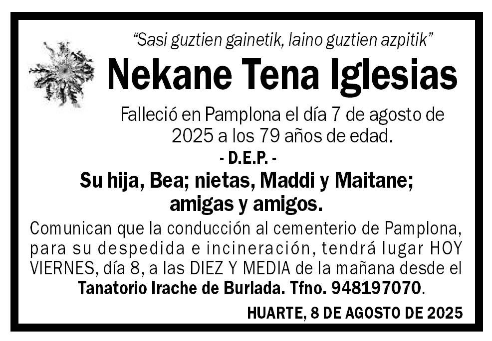 Nekane Tena Iglesias