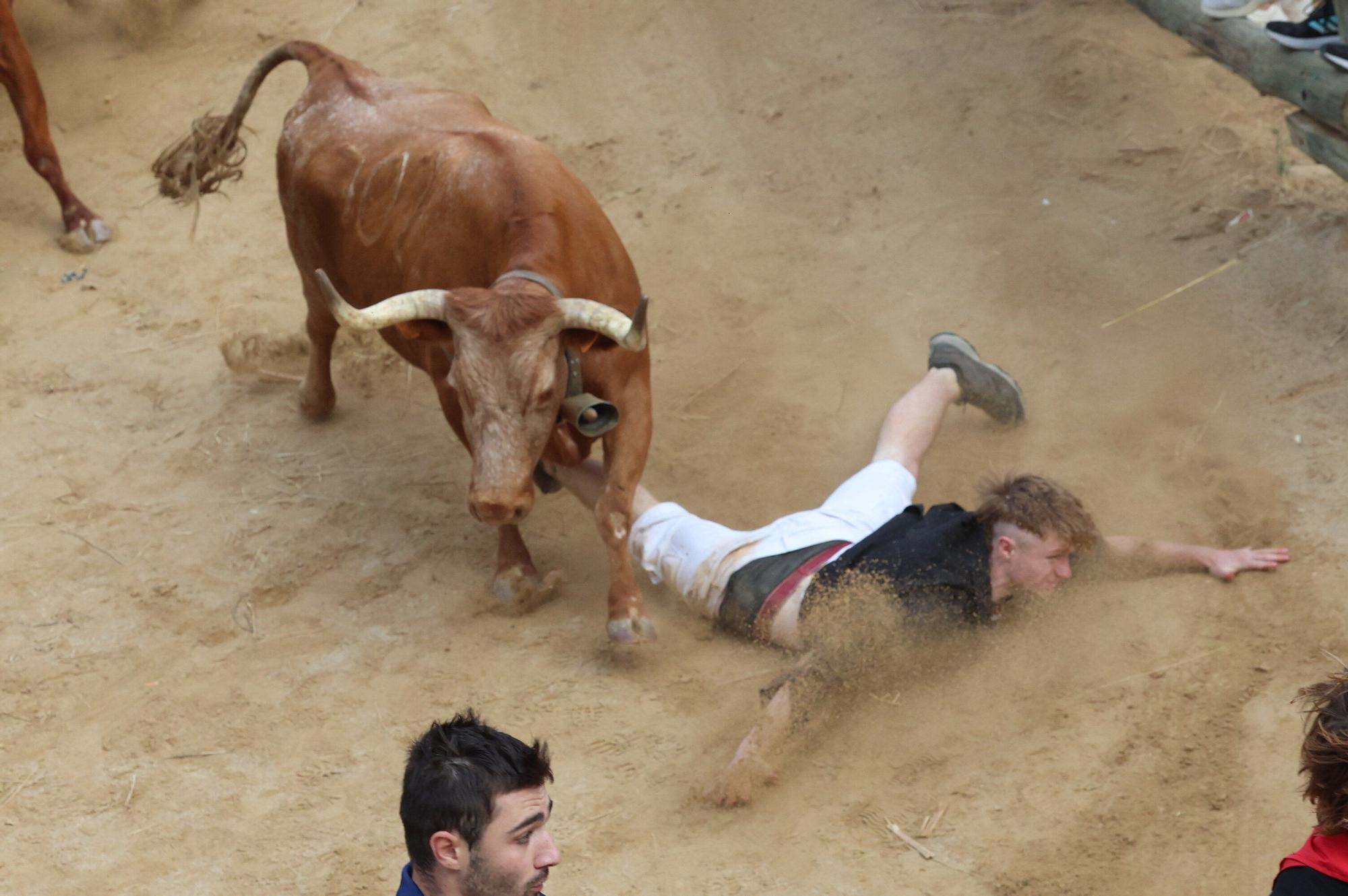 Fotos del quinto encierro del Pilón de Falces 2025 con vacas de Eulogio Mateo