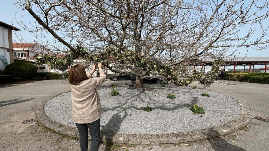 Compañeros de los jóvenes fallecidos, rotos tras la tragedia de la pasarela de Santander: “Estaban a punto de hacer las prácticas”