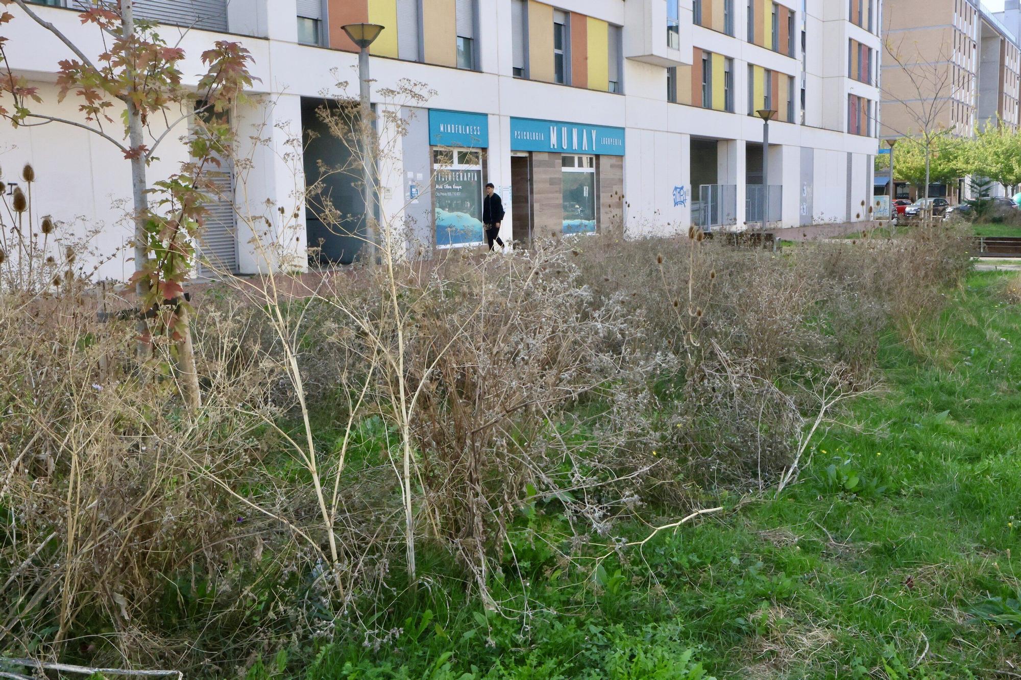 En imágenes: Vitoria-Gasteiz se prepara para adecentar el verde de la ciudad