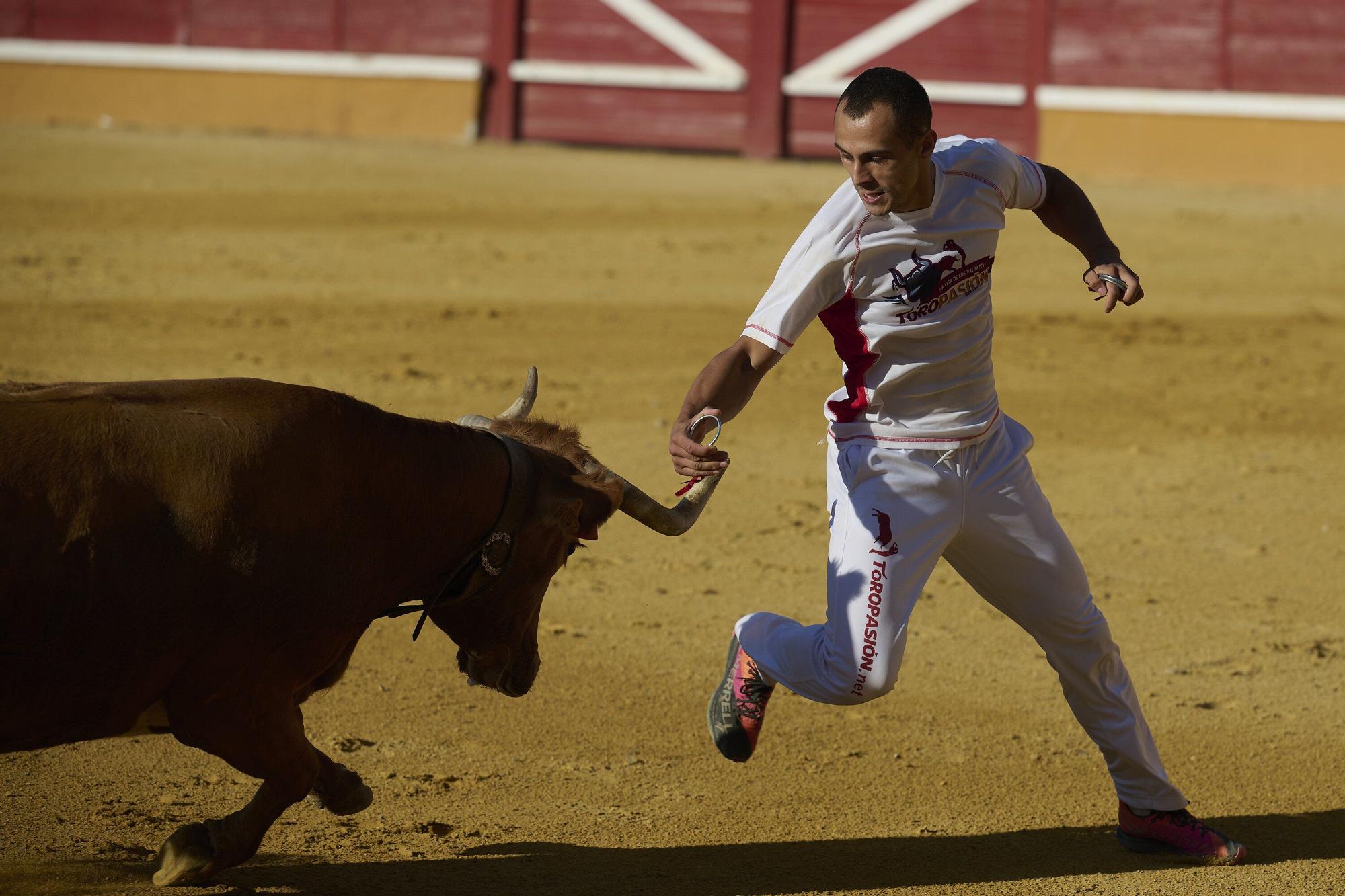 Concurso de recortadores con anillas