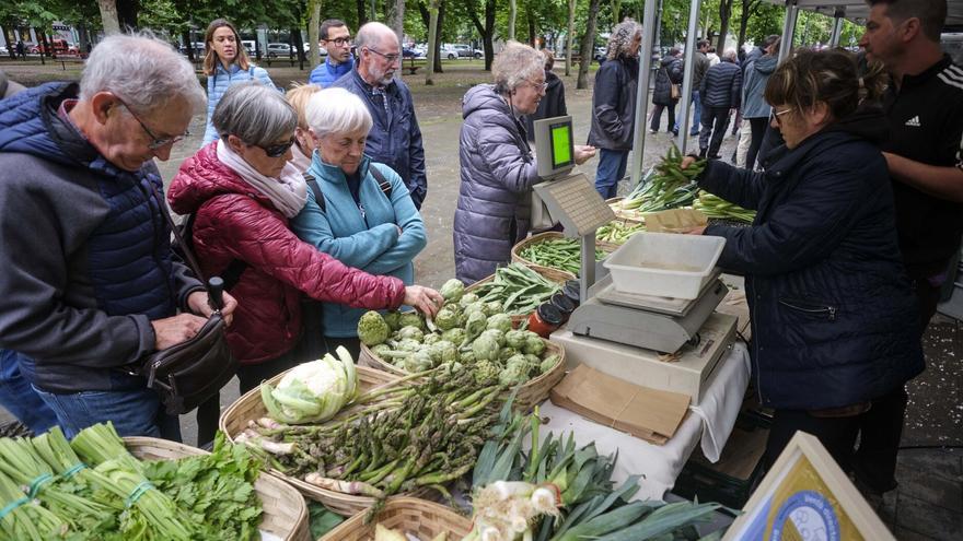 La Plaza del Castillo se abre este jueves al producto local en una feria que, en 2025, cumple su décima edición