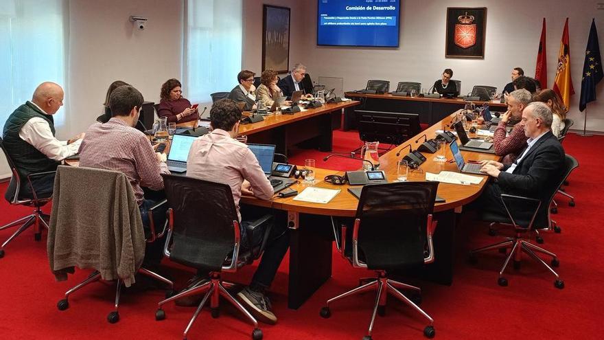 El Parlamento pide aprobar el Plan de Prevención y Preparación frente a la Peste Porcina