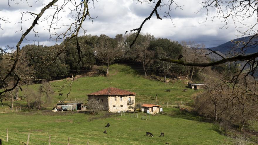 Caseríos para el siglo XXI en Bizkaia