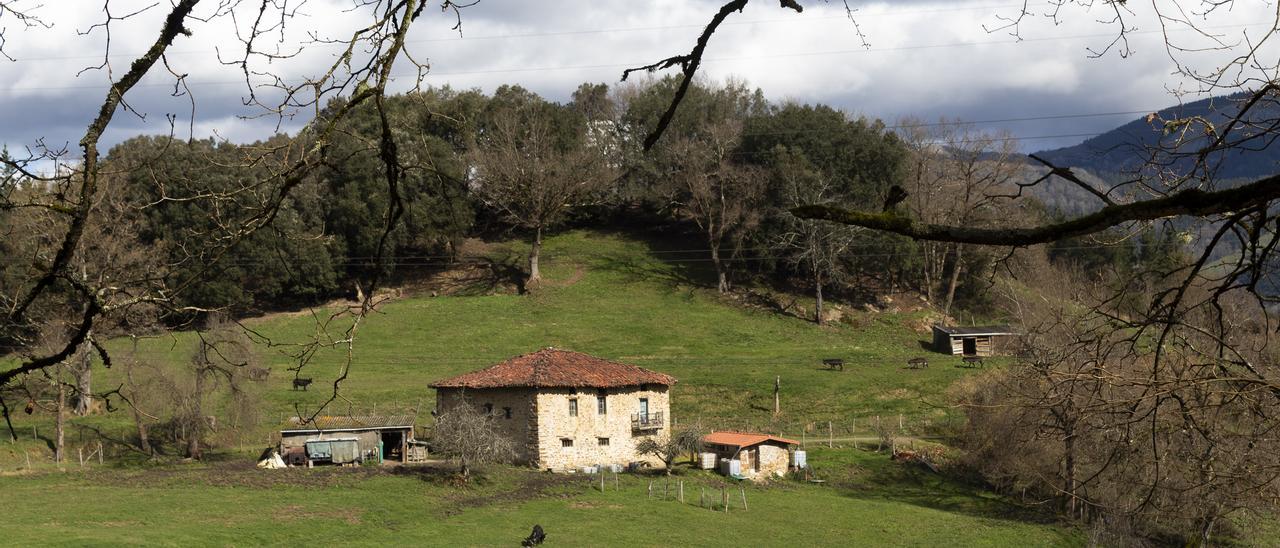 En imágenes: Caseríos para el siglo XXI